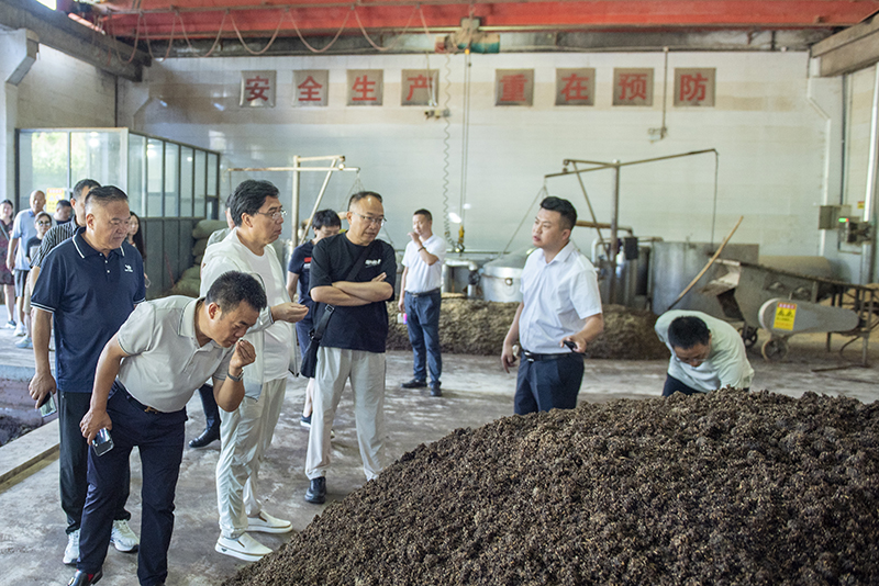 _DSC6110.jpg _DSC6110.jpg